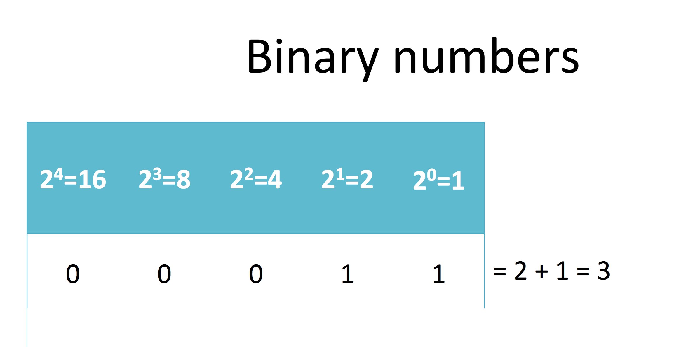 Binary Number Example