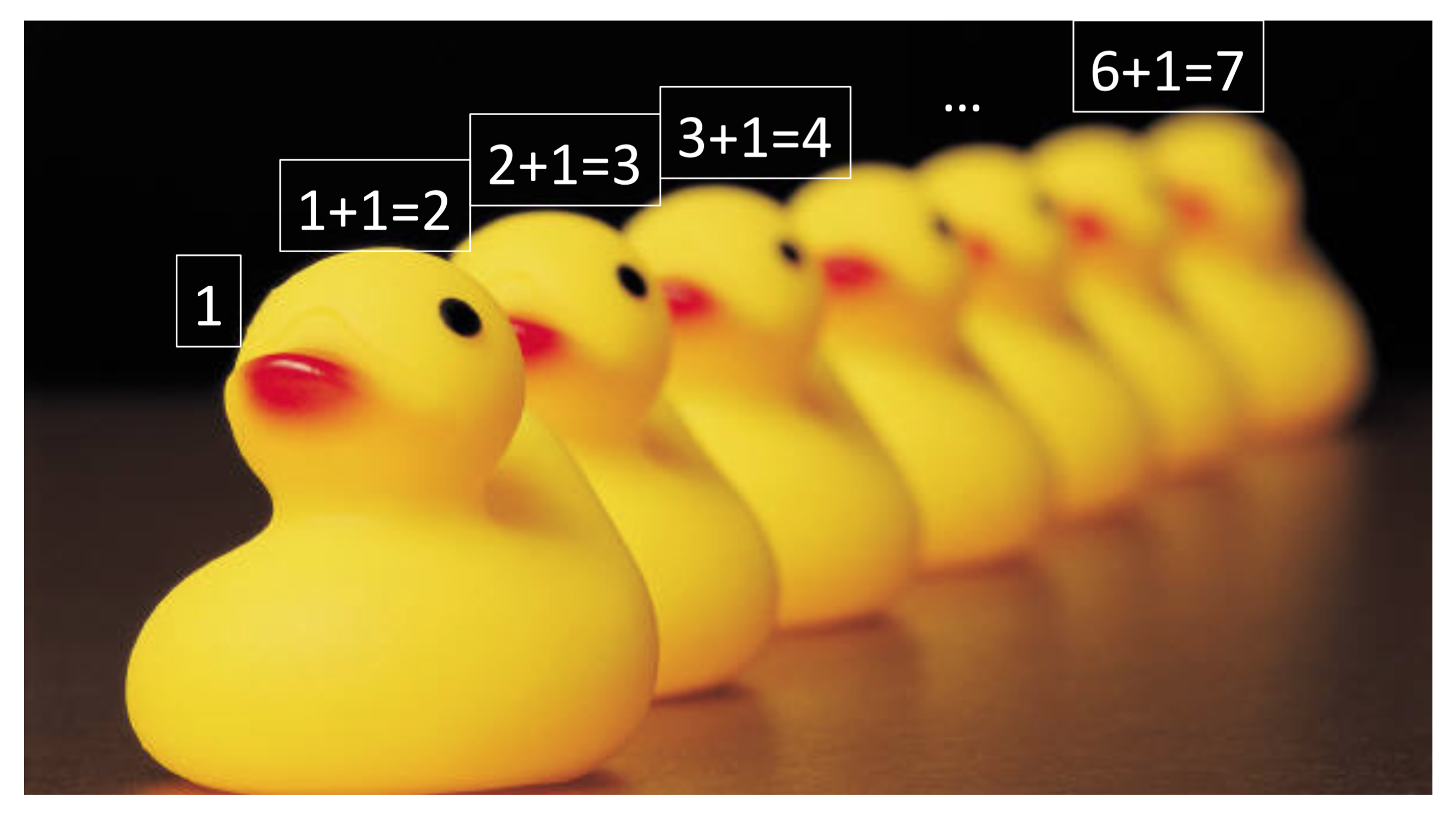 Duck Example Solution